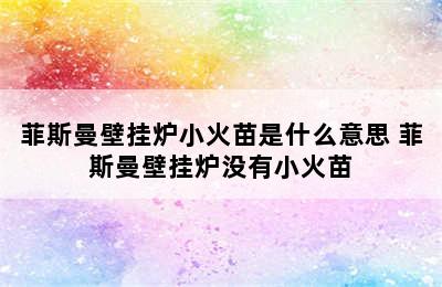 菲斯曼壁挂炉小火苗是什么意思 菲斯曼壁挂炉没有小火苗